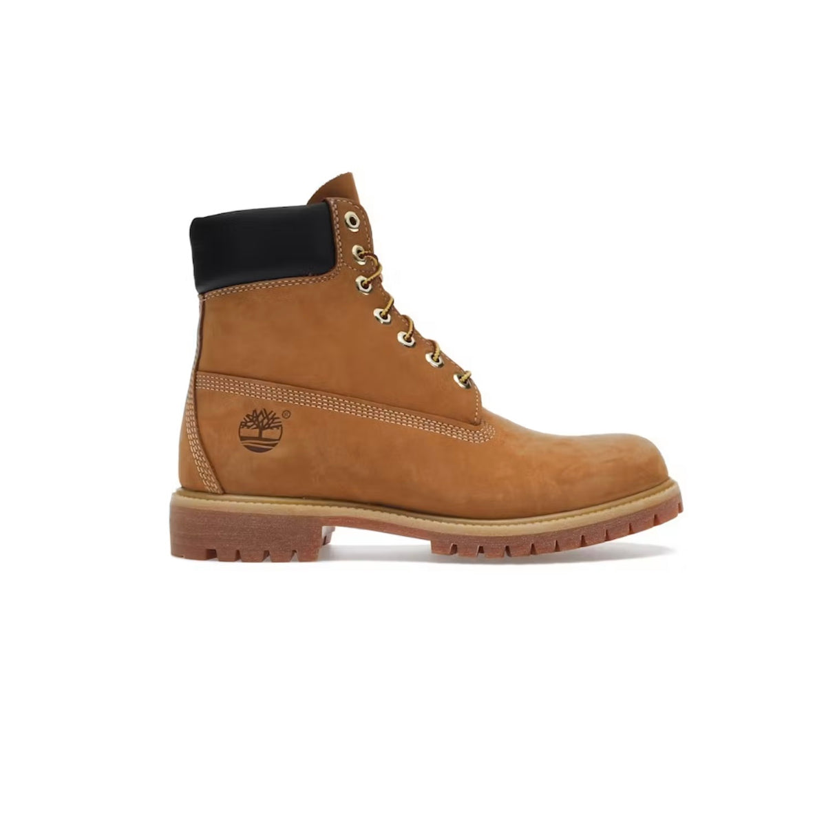 Bottines Imperméable 6” Premium Coloris Blé